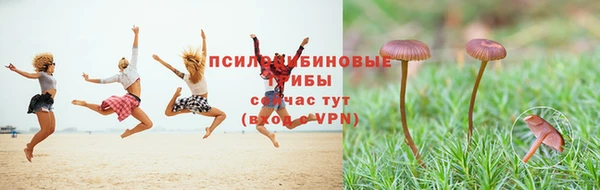 экстази Новодвинск
