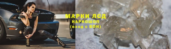 mdma Новозыбков