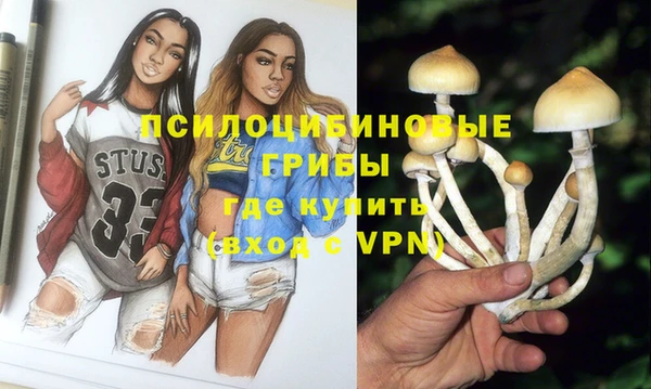 экстази Новодвинск