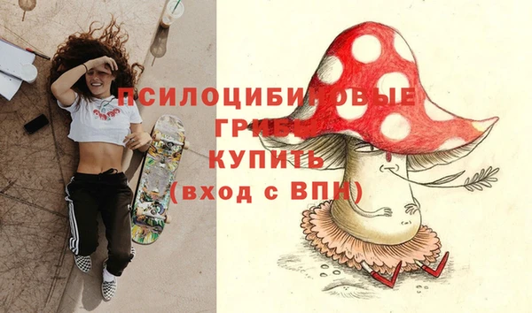 mdma Новозыбков