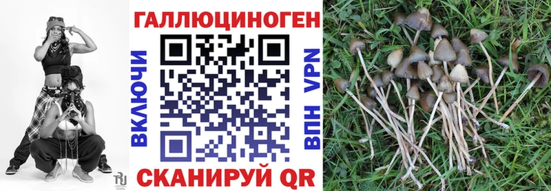 Псилоцибиновые грибы GOLDEN TEACHER  где купить наркотик  Чебоксары 